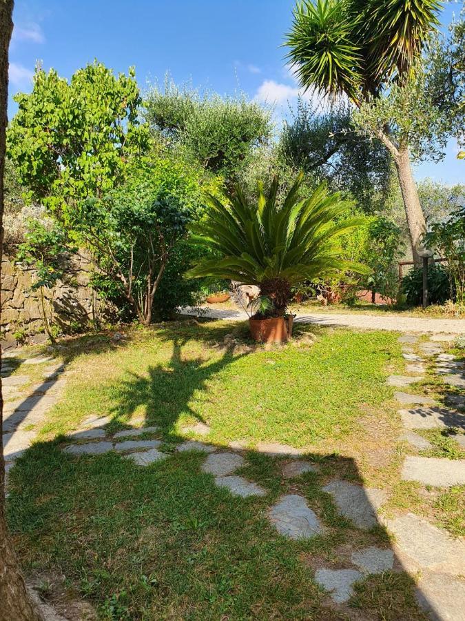 L'Uliveto D'Argento Bed & Breakfast Finale Ligure Eksteriør bilde