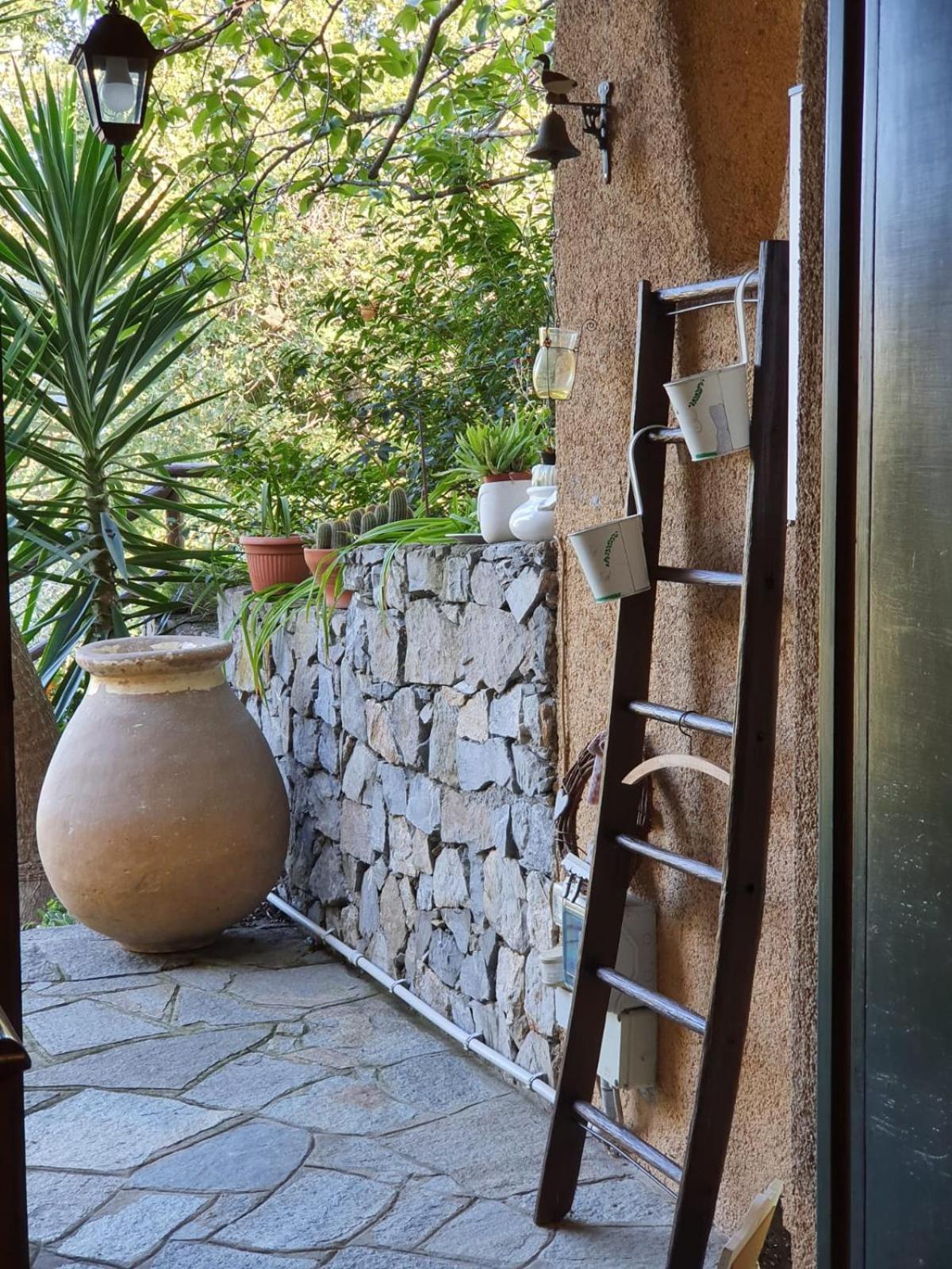 L'Uliveto D'Argento Bed & Breakfast Finale Ligure Eksteriør bilde
