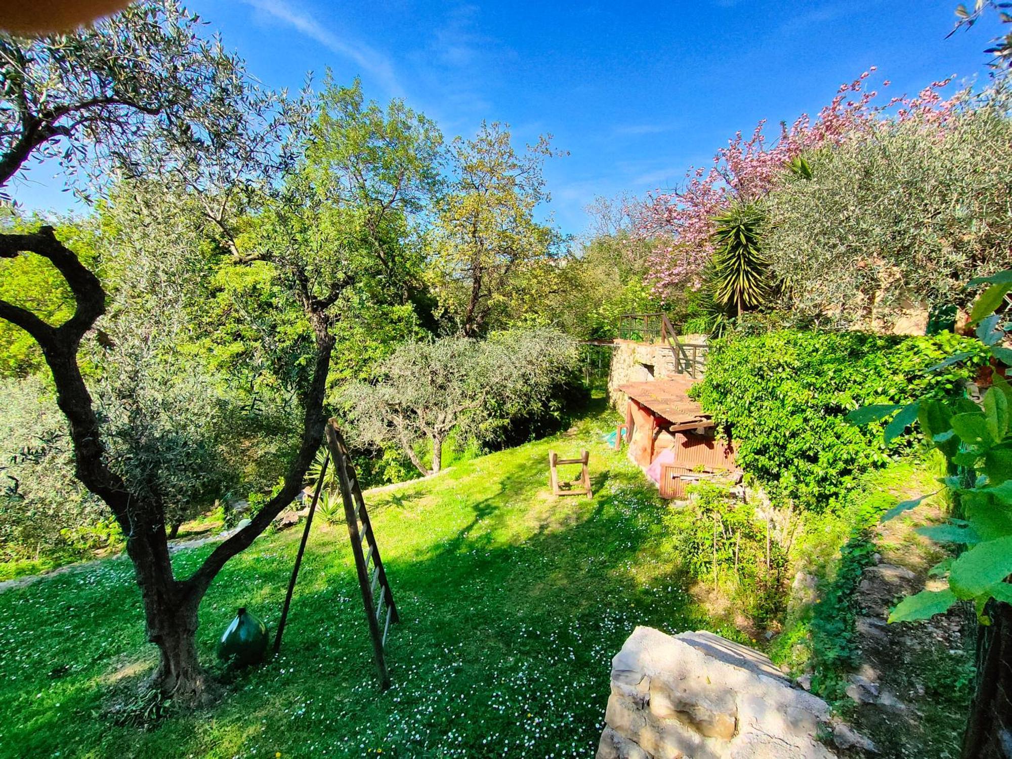 L'Uliveto D'Argento Bed & Breakfast Finale Ligure Eksteriør bilde