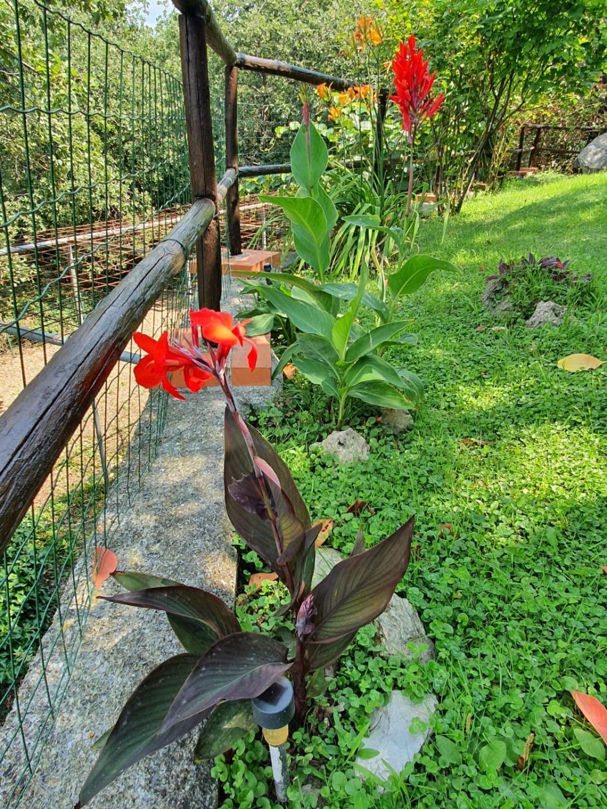 L'Uliveto D'Argento Bed & Breakfast Finale Ligure Eksteriør bilde