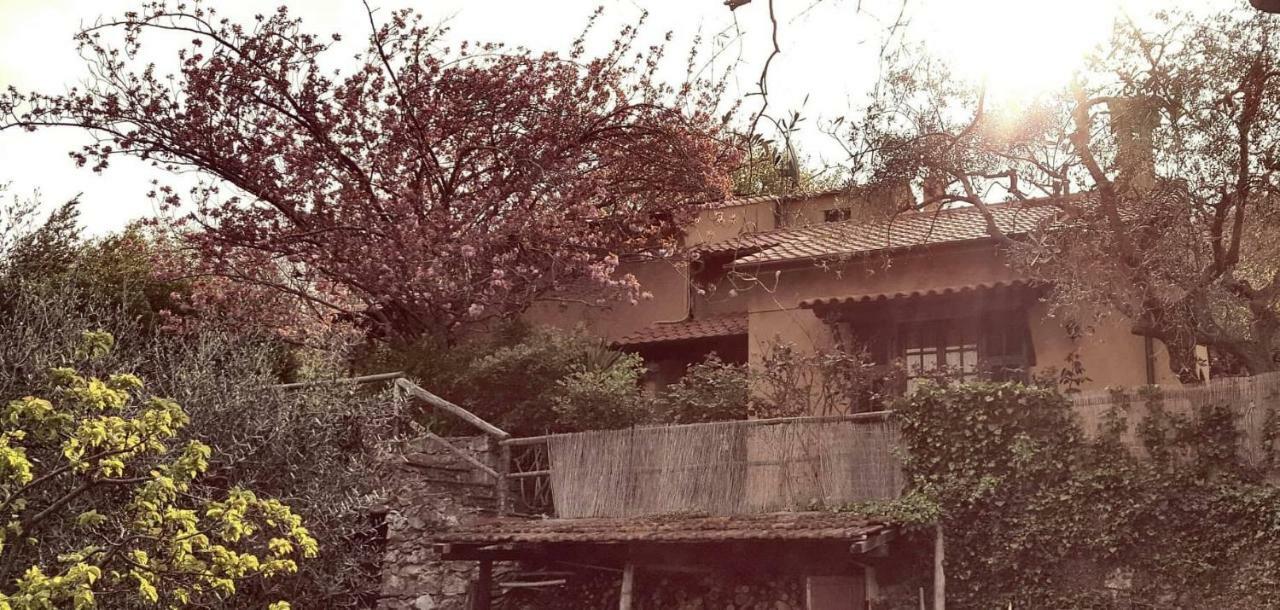 L'Uliveto D'Argento Bed & Breakfast Finale Ligure Eksteriør bilde